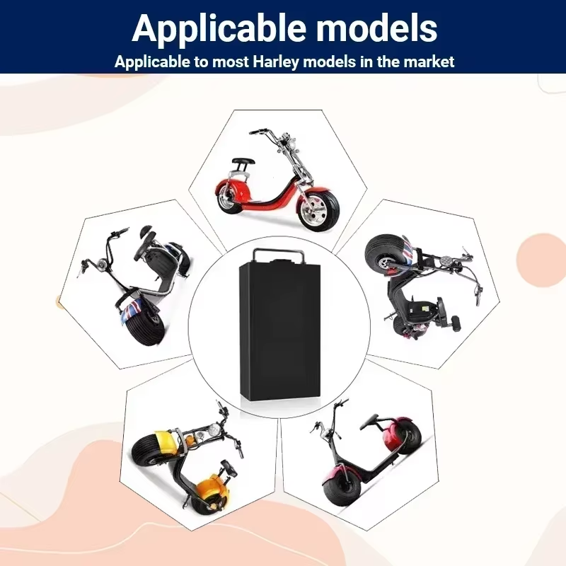 ハーレー電動バイク用バッテリー 60V 20Ah/30Ah/ - 60V 30Ah Electric Scooter Battery のレビューと価格