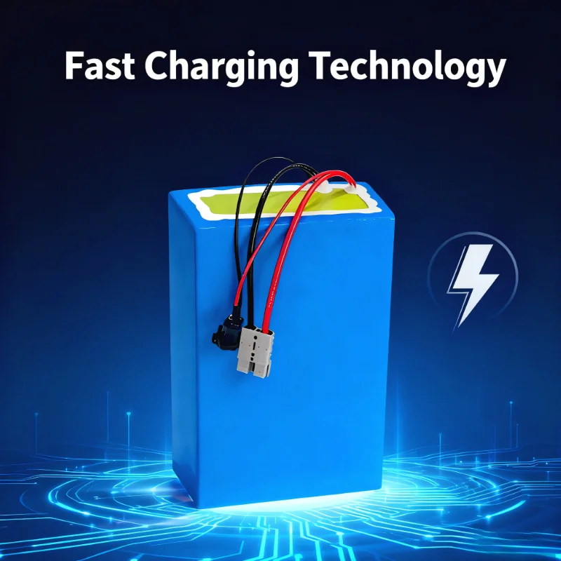BMS 72V リチウムイオンバッテリーパック 20Ah/3 - 72V 60Ah Lifepo4 Battery Pack のレビューと価格