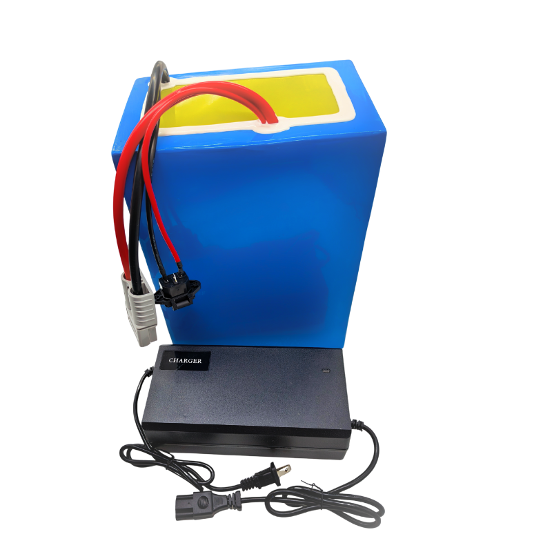 72V 100Ah リチウムイオン充電器付き内蔵 100A  - 72V 60Ah Lifepo4 Battery Pack のレビューと価格